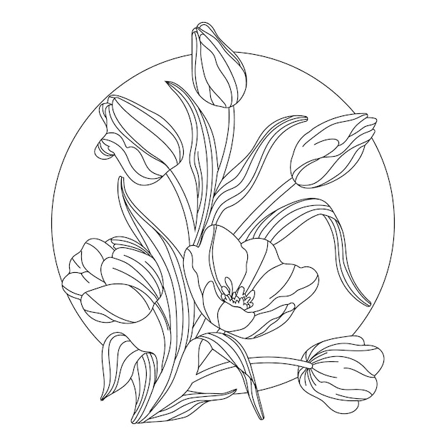 Ręcznie rysowane ilustracja kontur tulipana