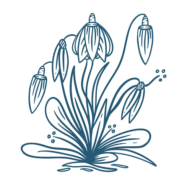 Bezpłatny wektor ręcznie rysowane ilustracja kwiat płaska konstrukcja