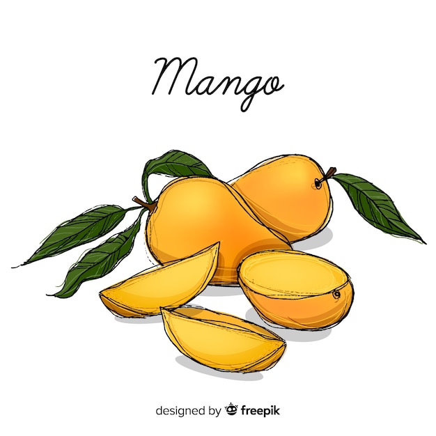 Bezpłatny wektor ręcznie rysowane ilustracja mango