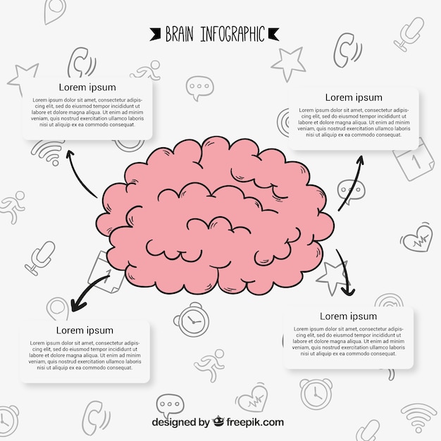 Bezpłatny wektor ręcznie rysowane infografika ludzkiego mózgu