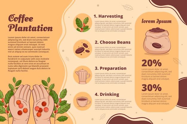 Ręcznie rysowane infografika plantacji kawy