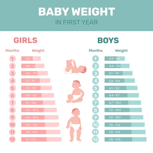 Ręcznie Rysowane Infografika Waga Dziecka