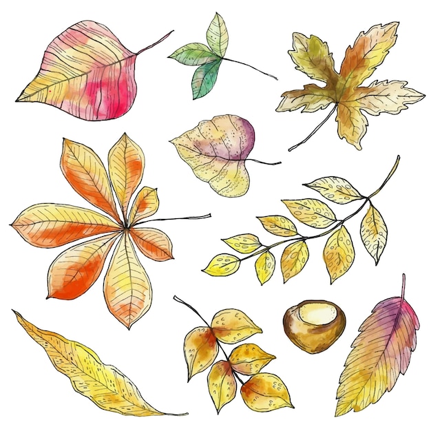 Ręcznie rysowane jesienne liście opakowanie
