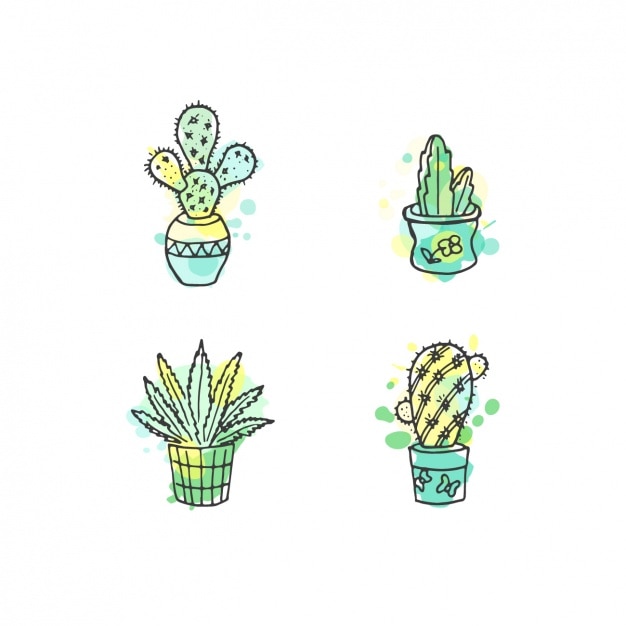 Ręcznie Rysowane Kaktus Z Kolekcji Akwareli