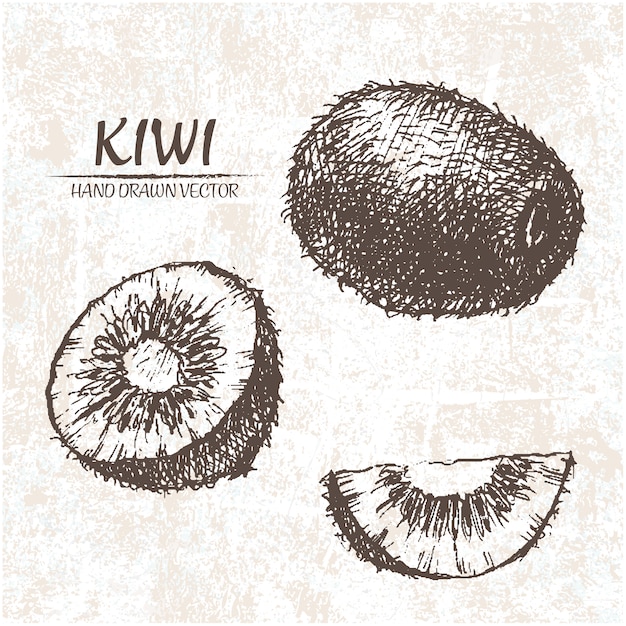 Ręcznie rysowane kiwi projekt