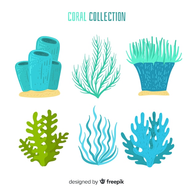Bezpłatny wektor ręcznie rysowane kolekcja koralowców