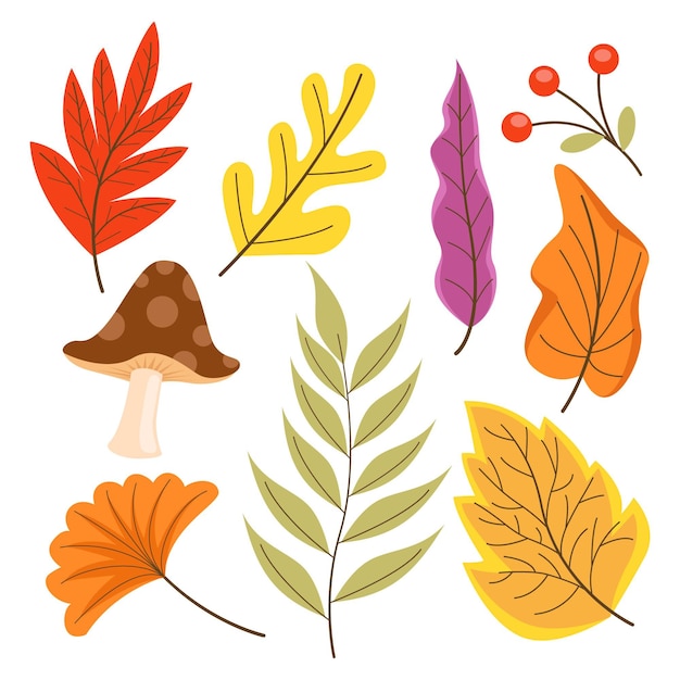 Bezpłatny wektor ręcznie rysowane kolekcja płaskich jesiennych elementów