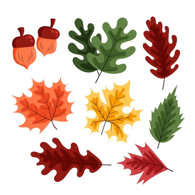 Ręcznie rysowane kolekcja płaskich jesiennych elementów