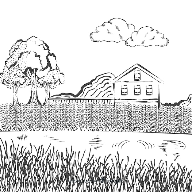 Bezpłatny wektor ręcznie rysowane krajobraz gospodarstwa