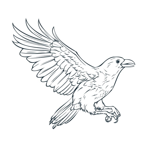 Ręcznie rysowane kruk latający rysunek ilustracji