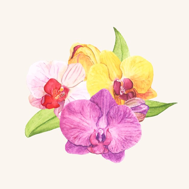 Ręcznie rysowane kwiat orchidei na białym tle