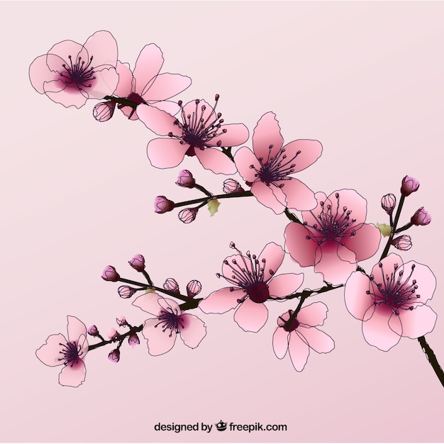 Ręcznie rysowane kwiaty wiśni