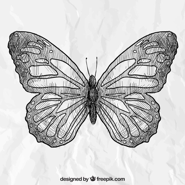 Ręcznie rysowane motyl