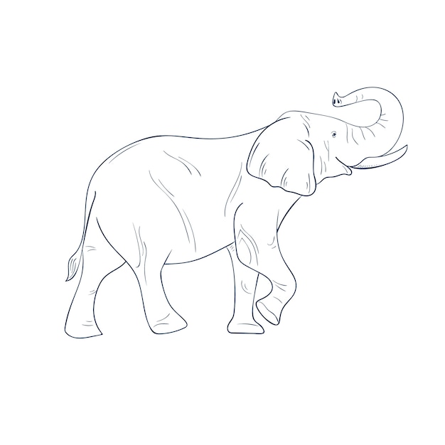 Ręcznie rysowane płaski zarys słonia