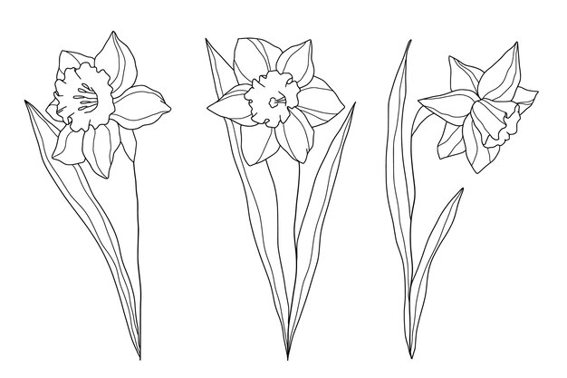 Ręcznie rysowane prosty szkic ilustracji kwiat