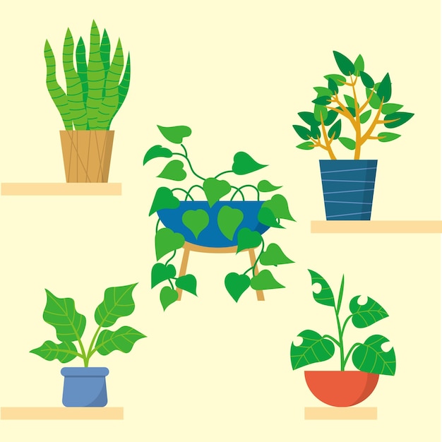 Bezpłatny wektor ręcznie rysowane rośliny doniczkowe w kolekcji doniczkowej