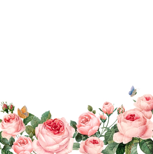 Ręcznie rysowane różowe róże ramki na białym tle
