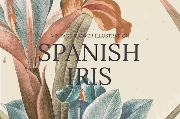 Ręcznie rysowane szablon kwiatu z hiszpańskim tłem tęczówki, zremiksowany z dzieł z domeny publicznej