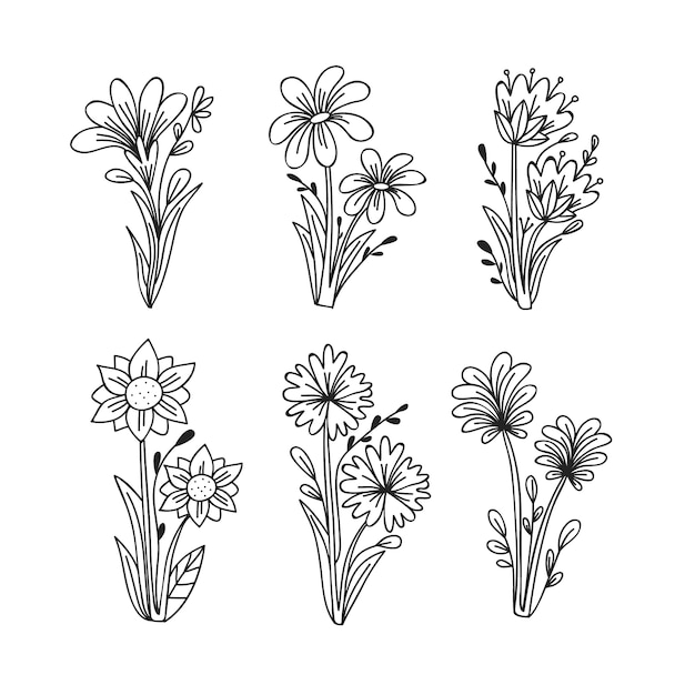 Ręcznie Rysowane Szkice Kolekcji Wiosna Kwiatów