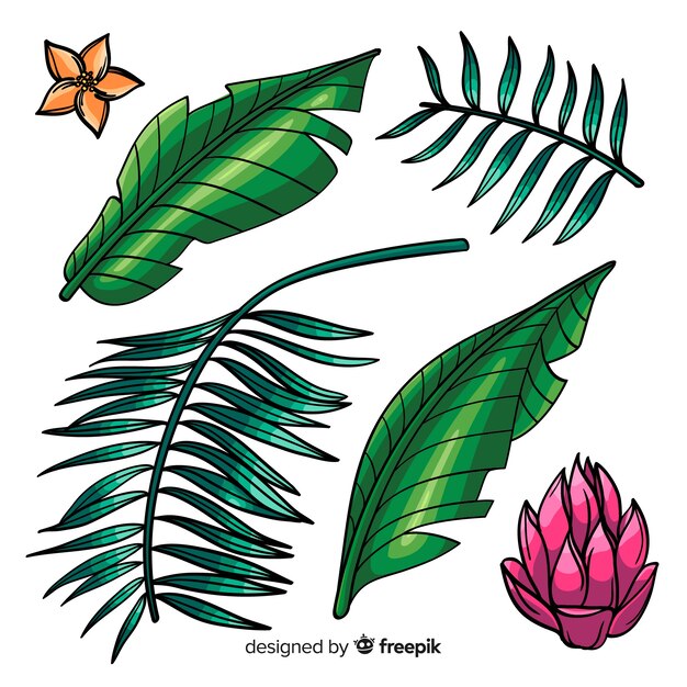 Ręcznie rysowane tropikalne kwiaty i liście