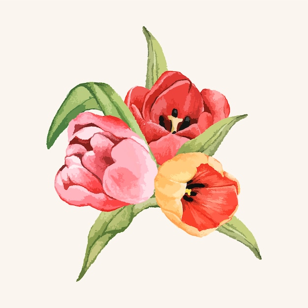 Ręcznie rysowane tulipan kwiat na białym tle