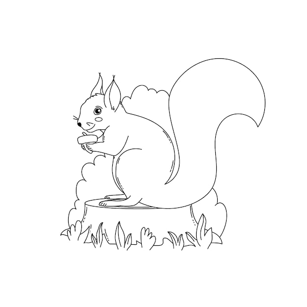 Bezpłatny wektor ręcznie rysowane wiewiórka zarys ilustracji