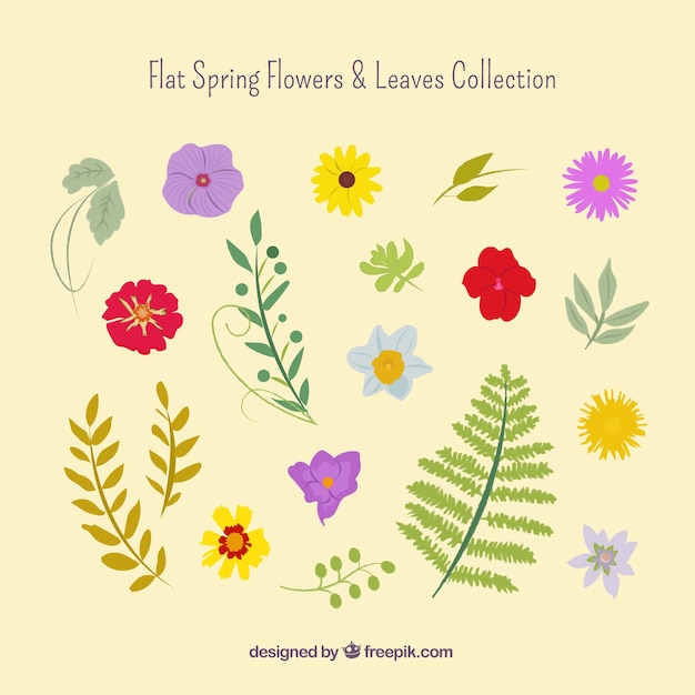 Ręcznie Rysowane Wiosennych Kwiatów I Liści Zestaw