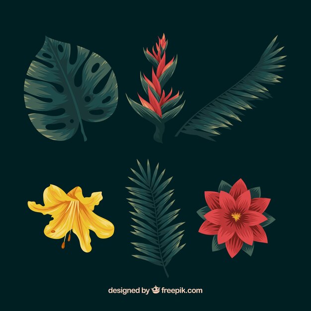 Ręcznie rysowane zestaw kolorowych kwiatów tropikalnych