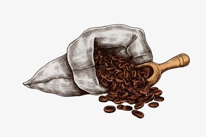 Ręcznie rysowane ziarna kawy w torbie