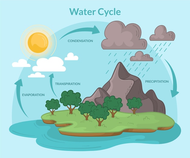 Bezpłatny wektor ręcznie rysowany cykl wodny