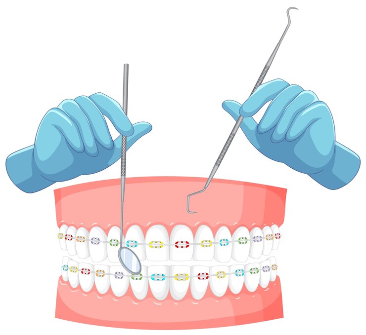 Bezpłatny plik Wektor ręka dentysty z modelem aparatów ortodontycznych ludzkich zębów