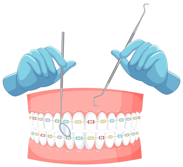 Ręka dentysty z modelem aparatów ortodontycznych ludzkich zębów