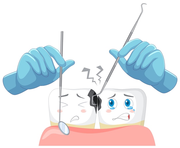 Bezpłatny wektor ręka dentysty z modelem ludzkich zębów