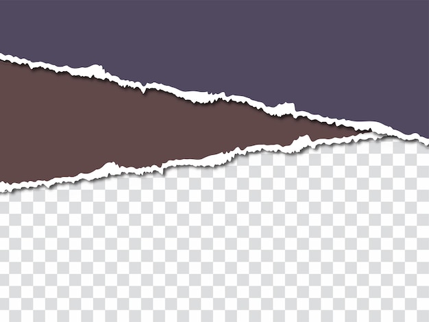 Bezpłatny wektor ripped torn paper style elegancki backgroundvector