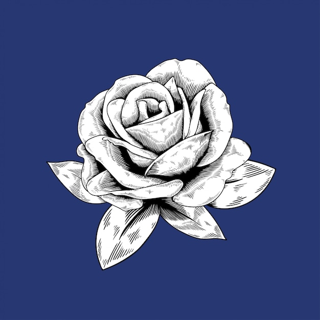 Różana Rysunkowa Kwiat Natury Wektorowa Ikona Na Błękitnym Tle