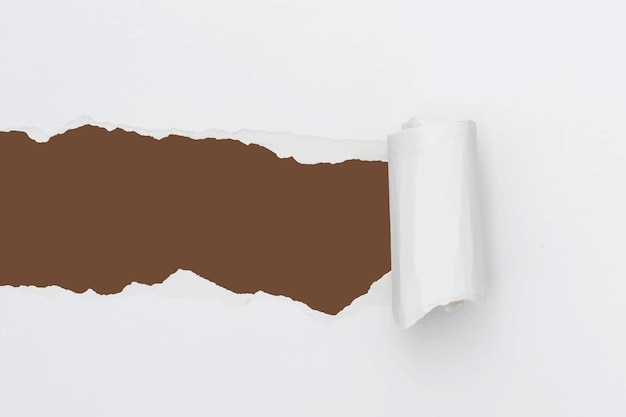 Rozdarty papier białe tło wektor proste ręcznie robione rzemiosło