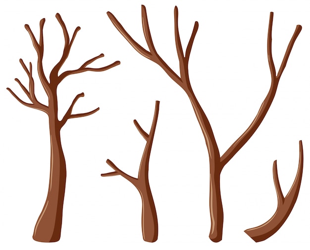 Bezpłatny wektor różne kształty gałęzi