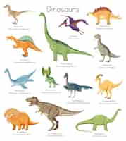 Bezpłatny wektor różne rodzaje dinozaurów z imionami