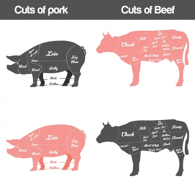 Bezpłatny wektor różne rodzaje mięsa