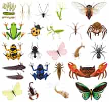 Bezpłatny wektor różne rodzaje owadów i zwierząt na białym tle