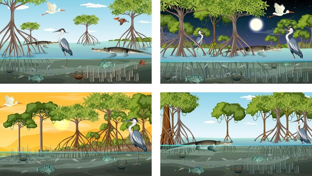 Różne sceny krajobrazu lasu namorzynowego ze zwierzętami