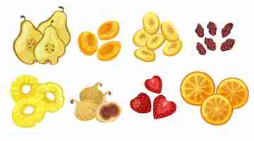 Bezpłatny wektor różne suszone owoce kreskówka zestaw ilustracji. suszone figi, morele, gruszki, ananasy, jabłka, pomarańcze, truskawki, rodzynki i suszone śliwki na białym tle. owoce tropikalne, koncepcja żywności