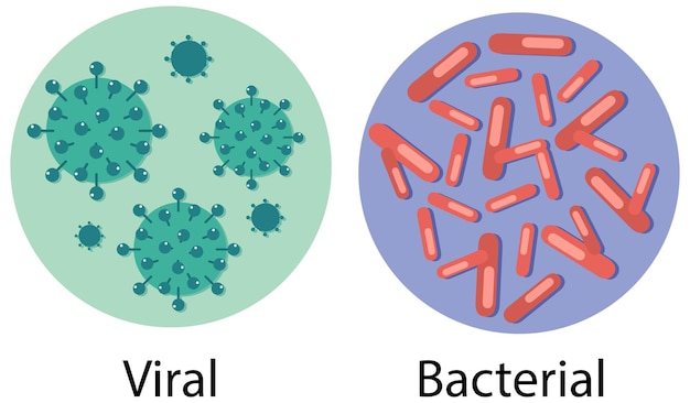 Bezpłatny wektor różni się między wirusami a bakteriami