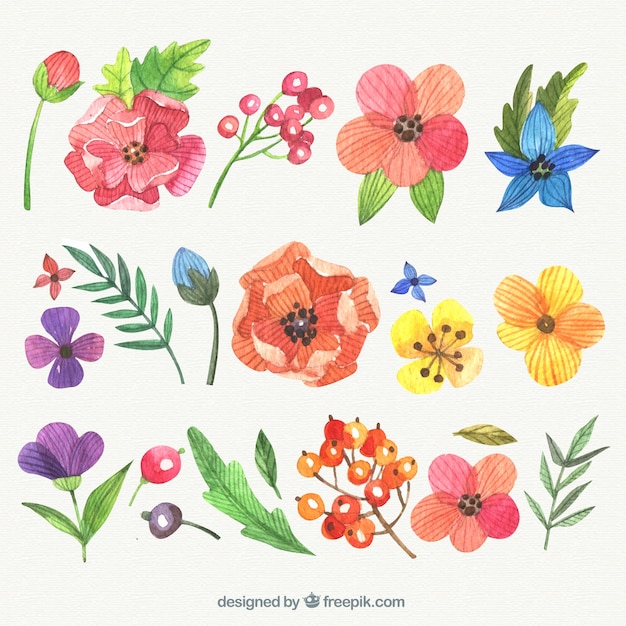 Różnorodność ręcznie malowane kwiaty