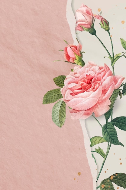Bezpłatny wektor różowa papierowa róża z porysowaną stroną