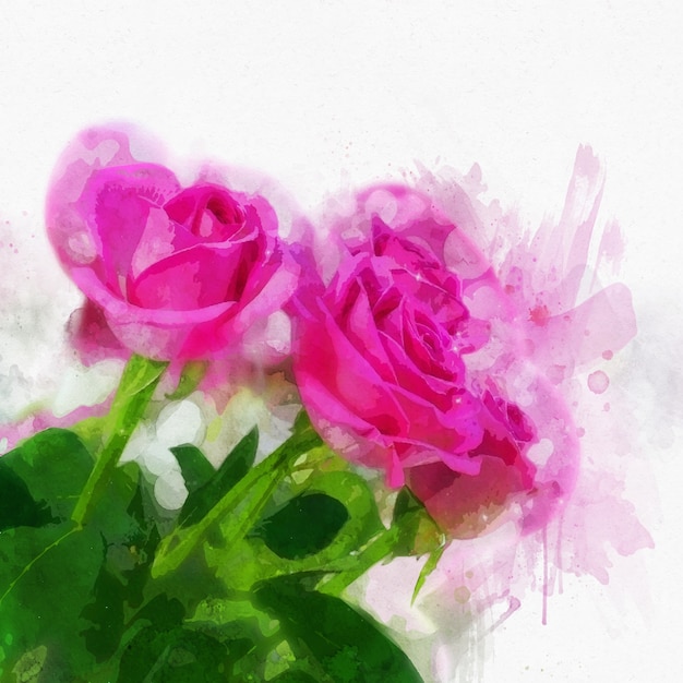 Różowe róże w malowanym stylu akwarela