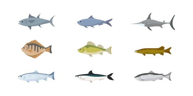 Bezpłatny wektor ryby morskie i słodkowodne sortuje izolowane kliparty opakowanie jezioro rzeka ocean zwierzęta morskie karp anchois tuńczyk pstrąg miecznik łosoś