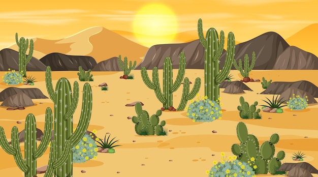 Scena krajobrazu pustynnego lasu w czasie zachodu słońca