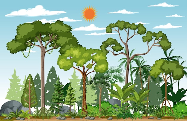 Scena leśna z wieloma drzewami w ciągu dnia