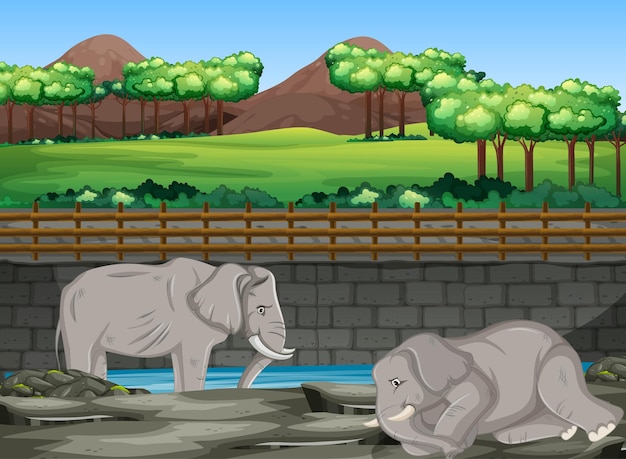Scena Z Dwoma Słoniami W Zoo